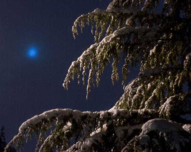 2am moon and snow